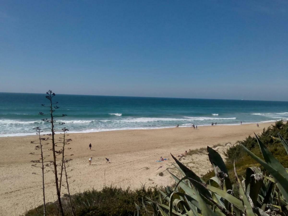 Casa "El Pinar" Villa Chiclana de la Frontera Dış mekan fotoğraf